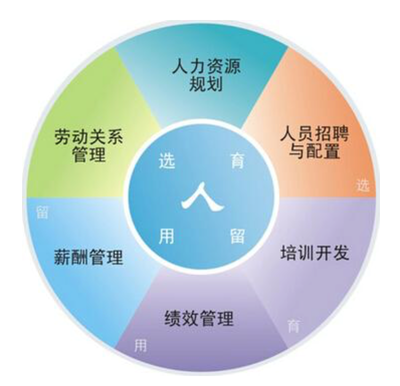 人力资源管理咨询
