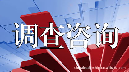 咨询服务 北京理德斯普企业管理咨询有限责任公司